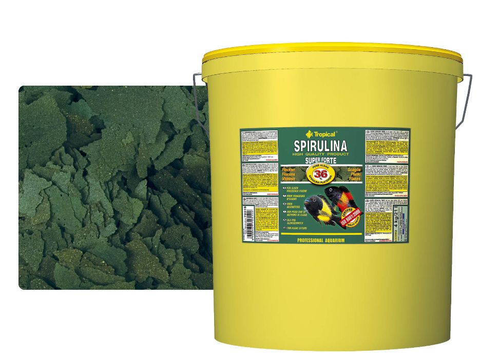 Super Spirulina Super Forte 36% TROPICAL NAJTANIEJ!!! Wysyłka Gratis!!