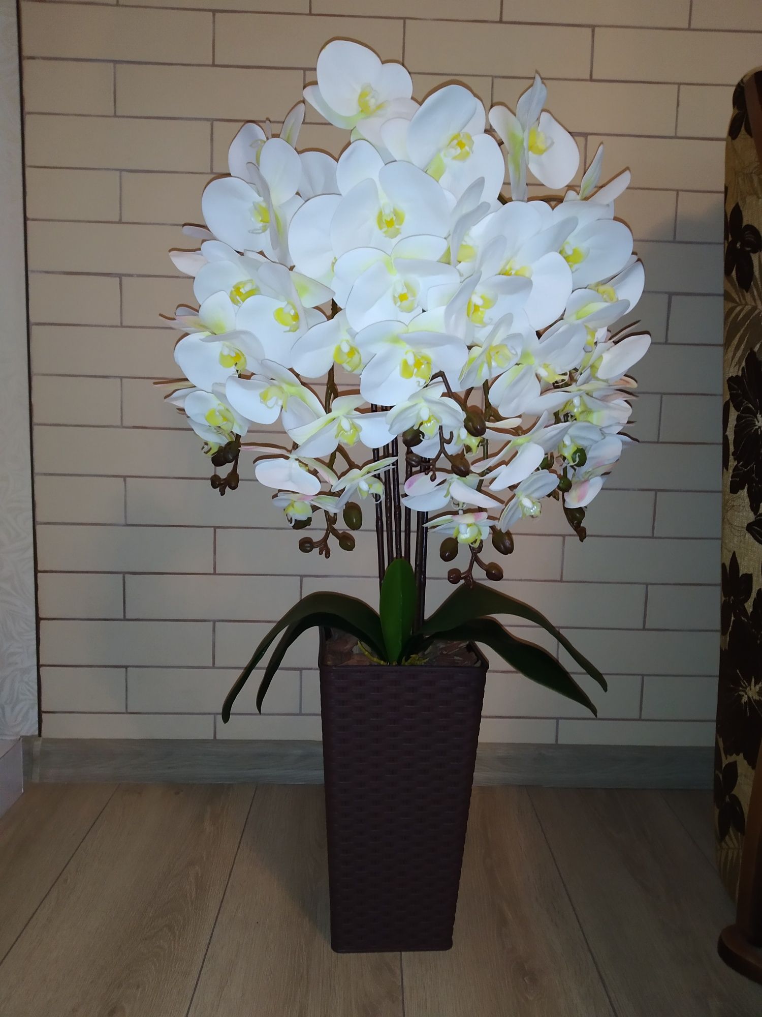 Білі латексні орхідеї