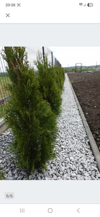 Grys Kamień Dalmatyńczyk Granitowy  na kilogramy