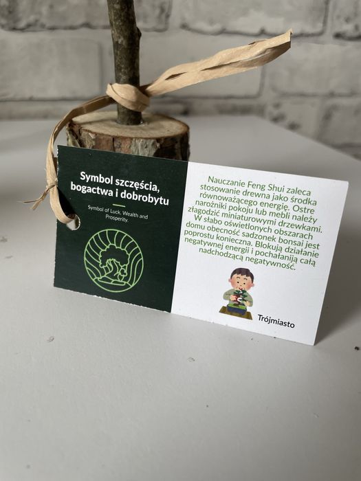 Drzewo bonsai z prawdziwego drzewa i mhcu