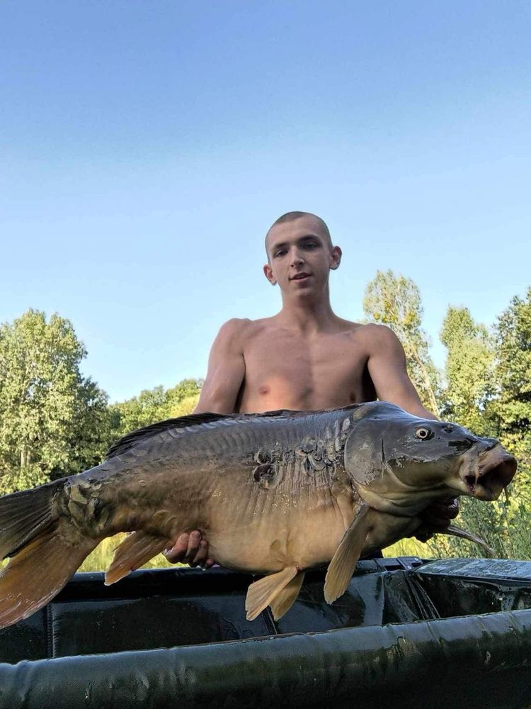 Noclegi pod dębami