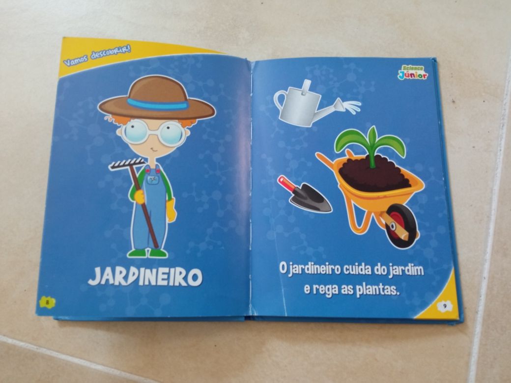 Livro "As profissões"