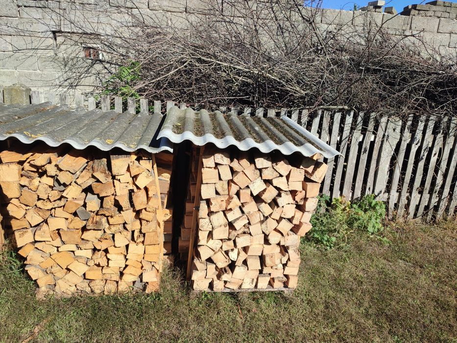 Drzewo opałowe sosnowe 60letnie