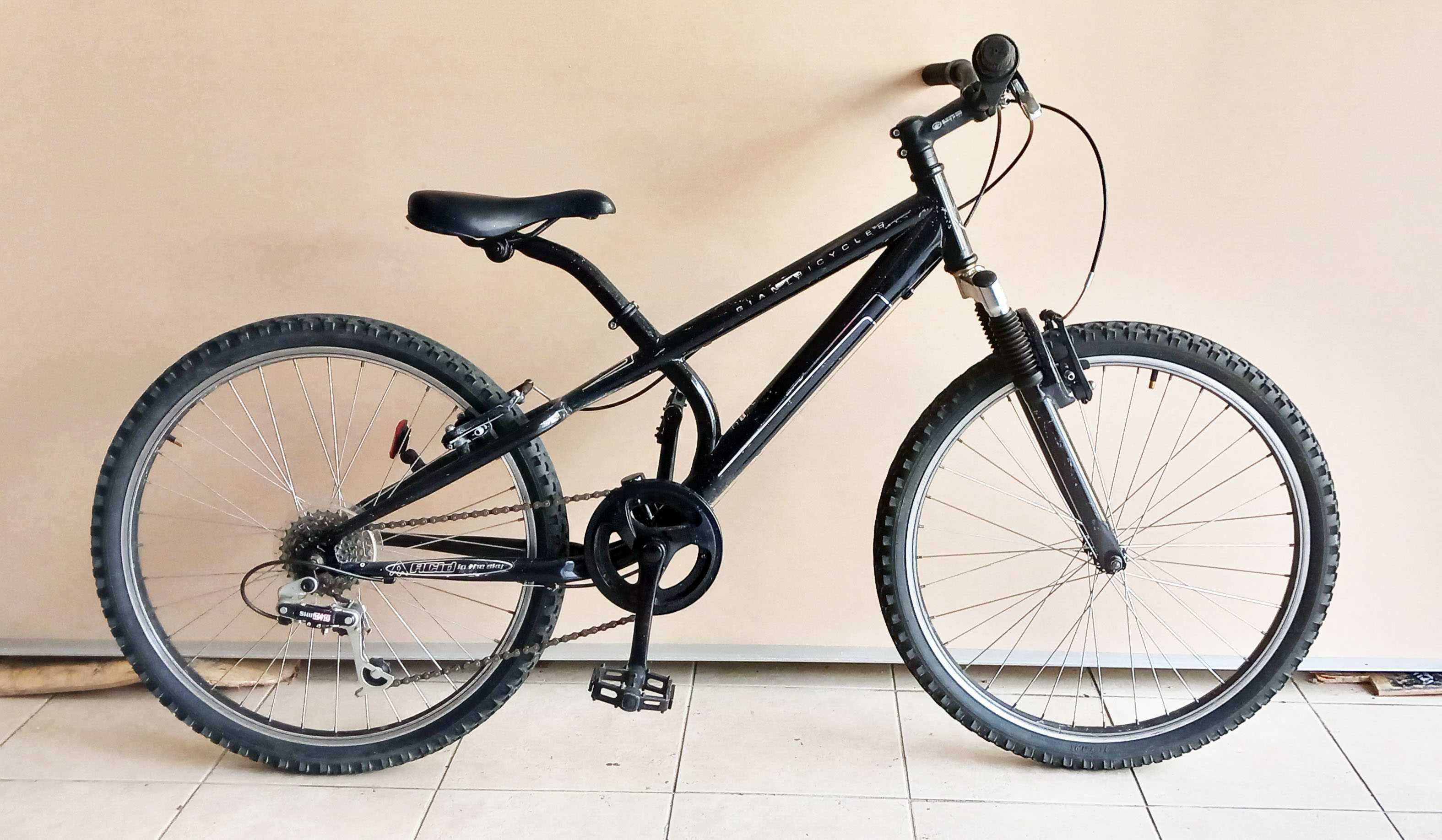 Bicicleta Giant 24"