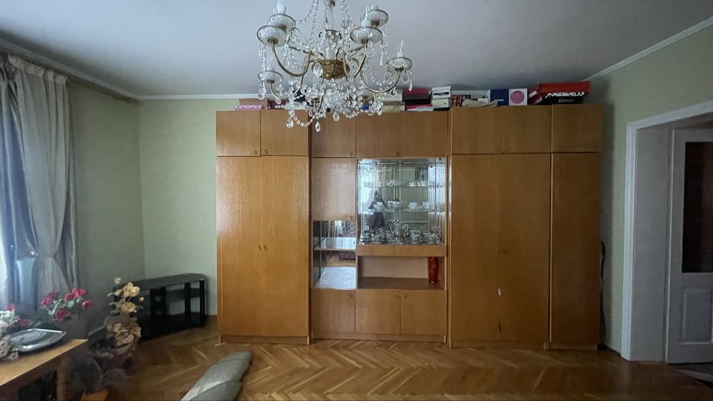 Продається будинок з літньою кухнею та великою ділянкою