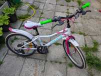 Rower KROSS Rica