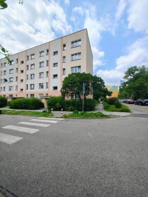 Piękne słoneczne mieszkanie wokół zieleni.