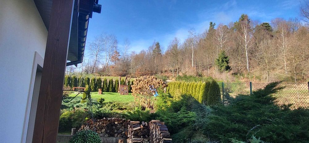 Noclegi domek 6 osobowy. Góry, las, jezioro.