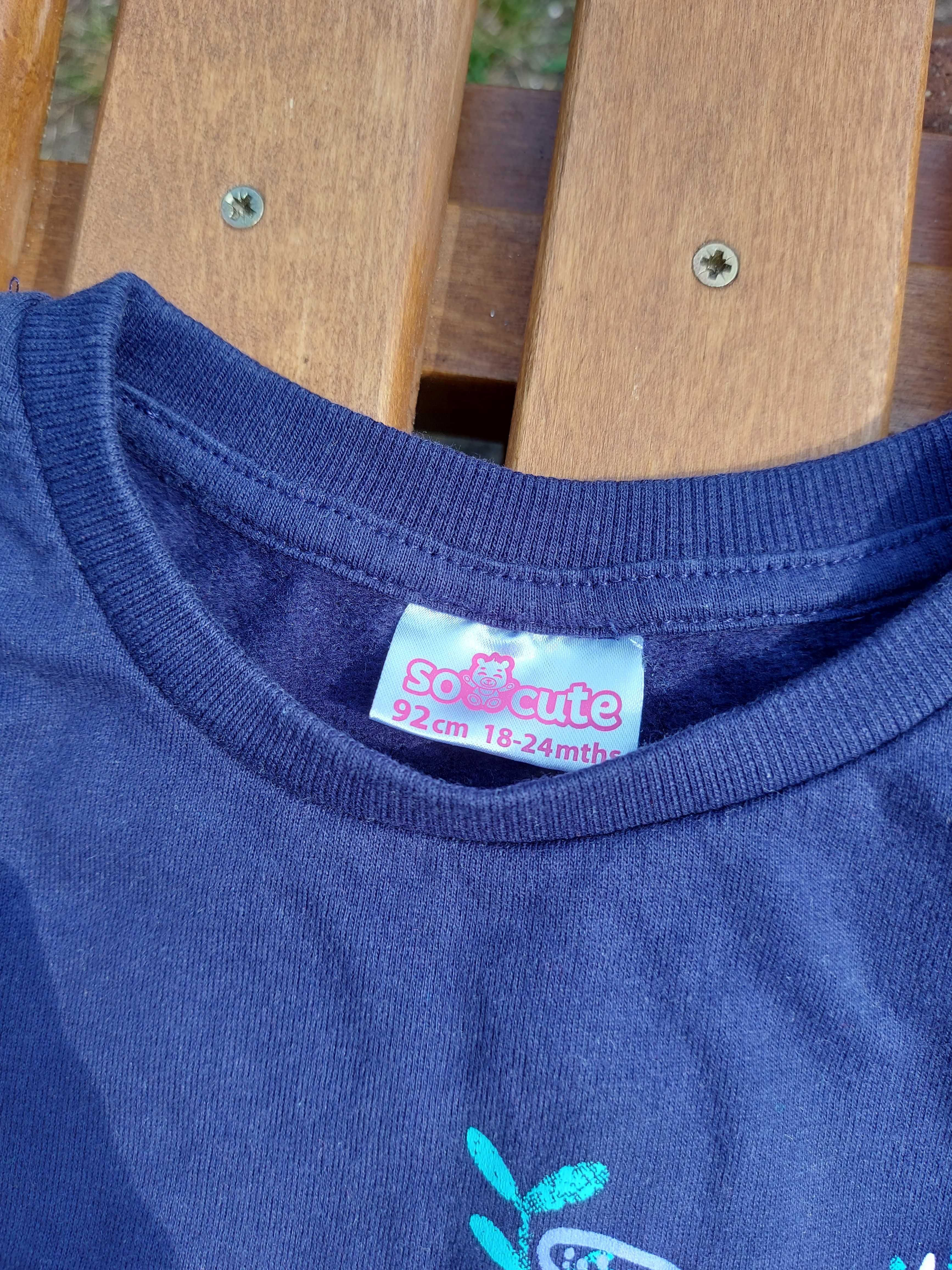 Bluza, 2 sztuki, rozm. 92, H&M i Pepco