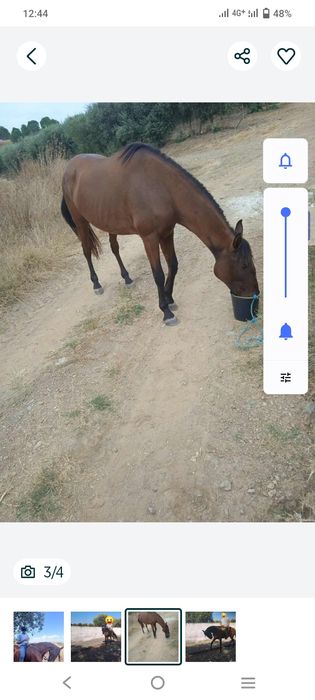 Vendo eu troco é igual muito bem montada