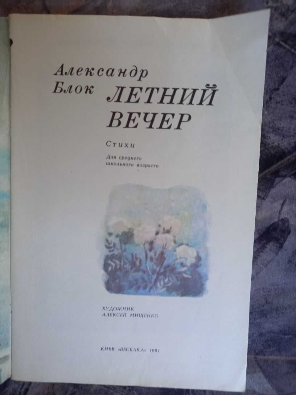 Летний вечер 1981 блок мищенко книга книжка стихи ссср срср школьный