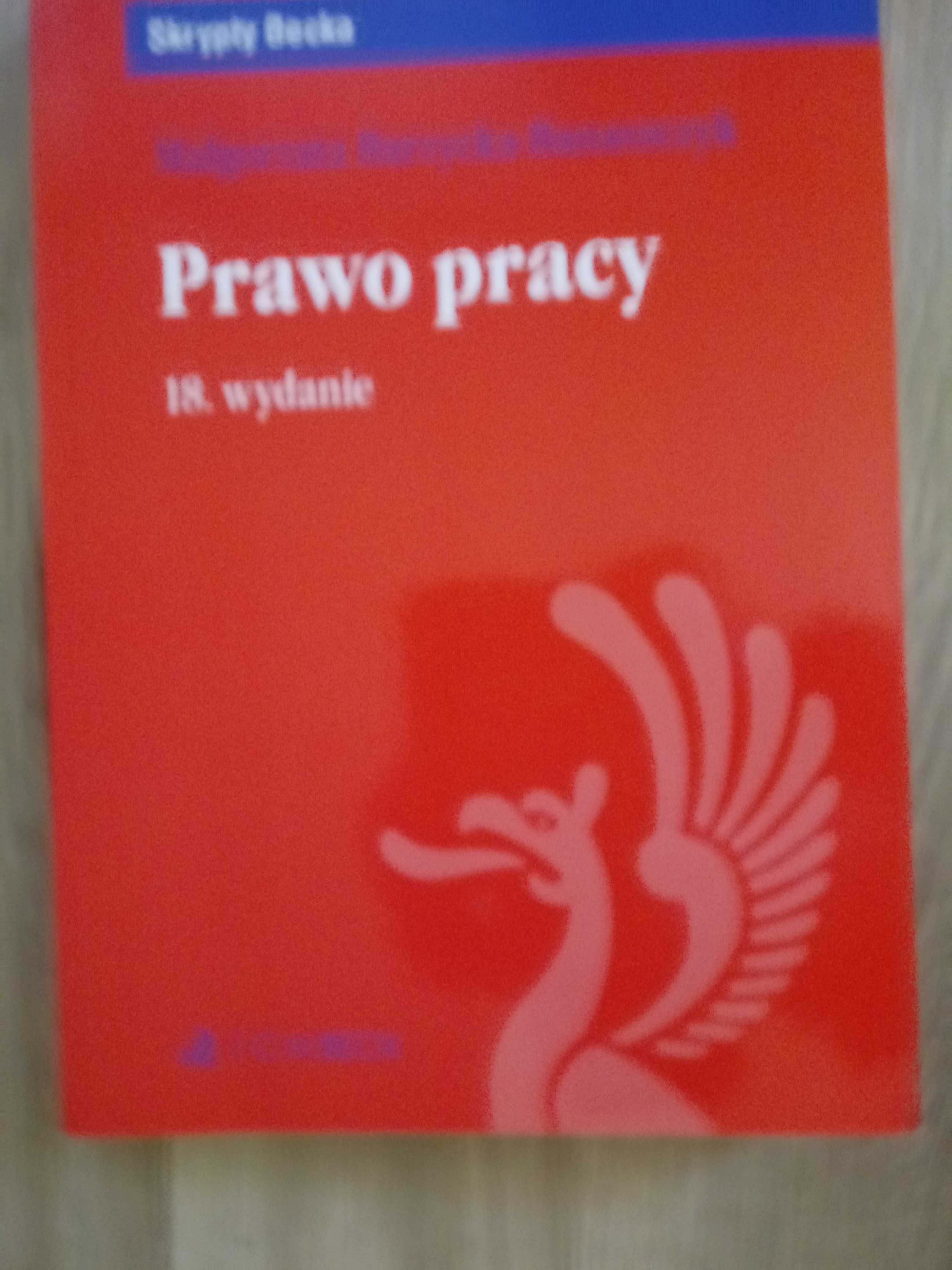 Prawo Pracy - Małgorzata Barzycka-Banaszczyk