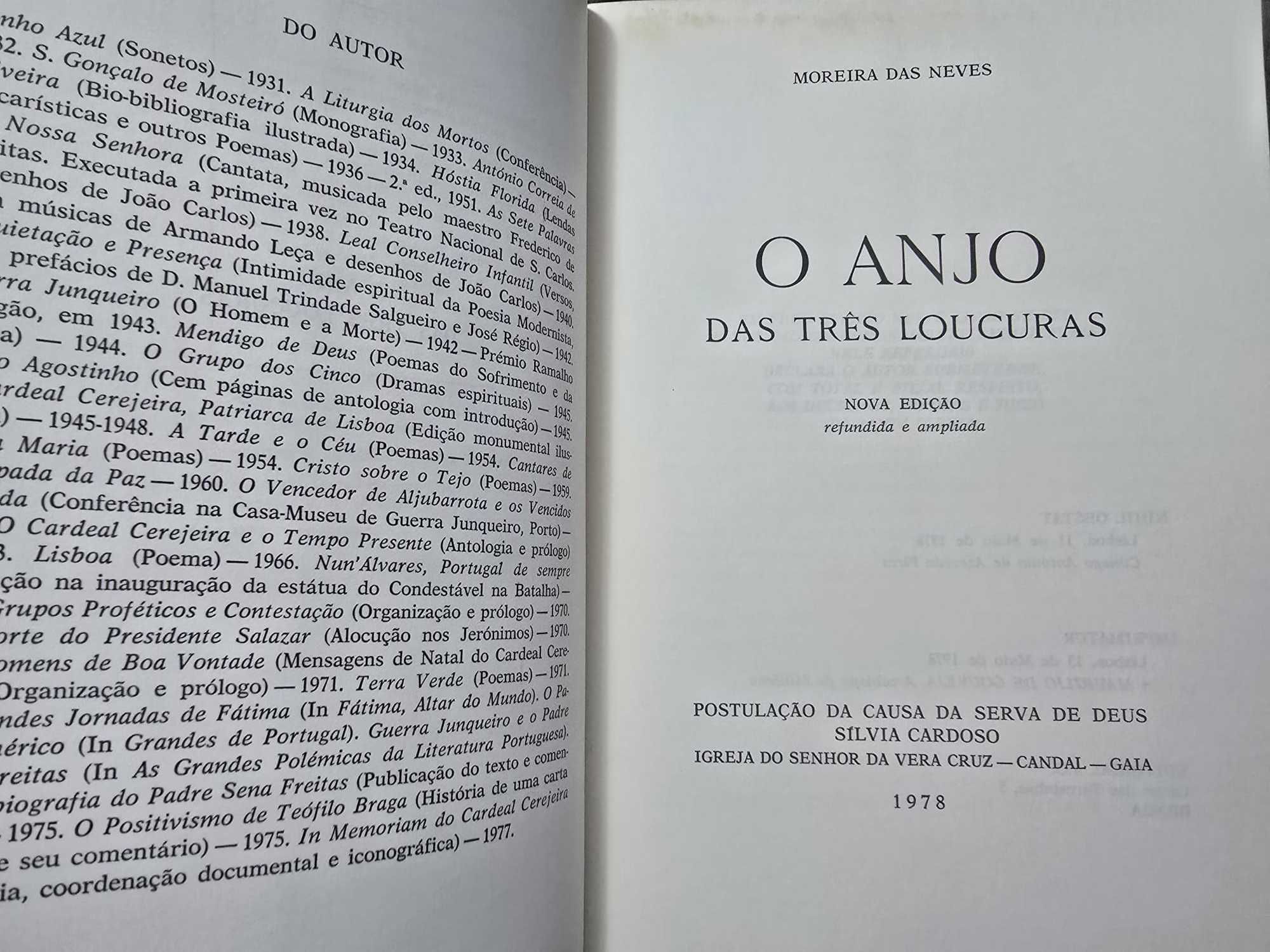 O Anjo das Três Loucuras – Sílvia Cardoso – Moreira das Neves