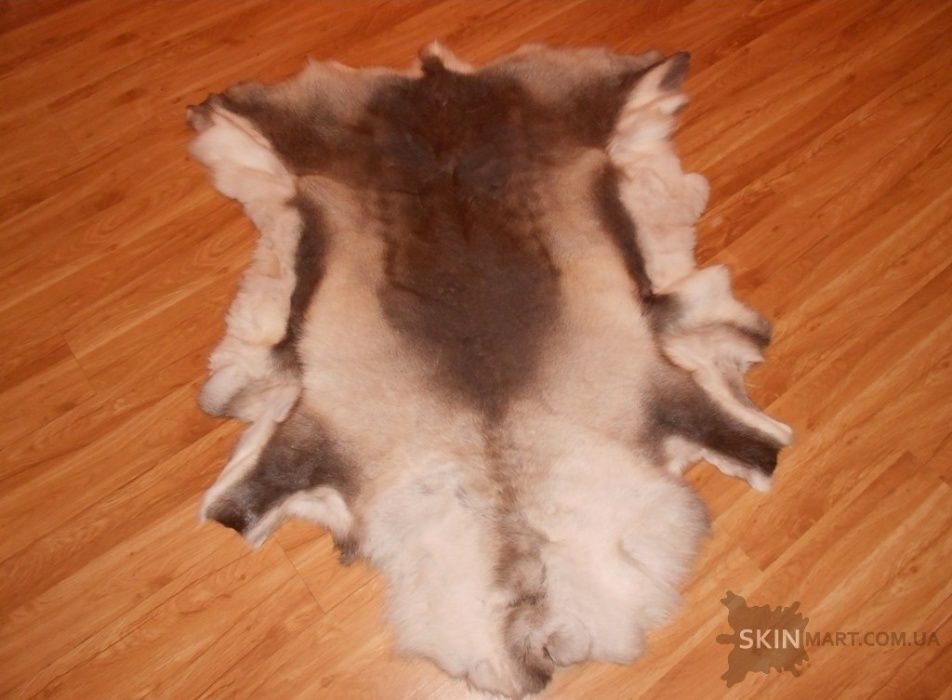 Олень, шкура з оленя, шкура диких тварин