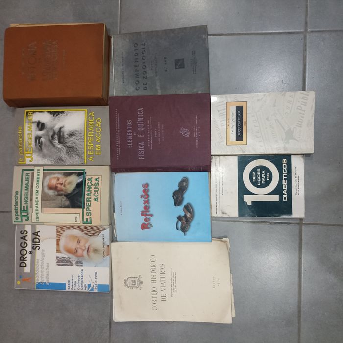 Lote de livros escolares e outros