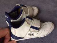 LACOSTE adidasy buty dla dziecka 21 wkładka 13cm