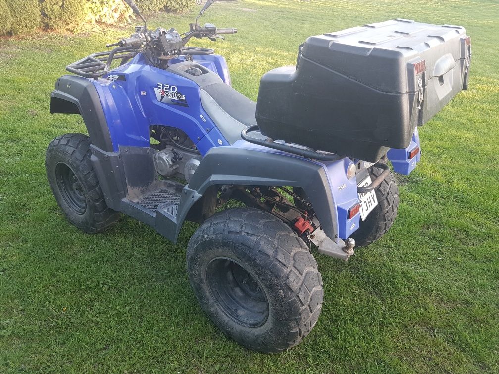 Quad adly 320ccm