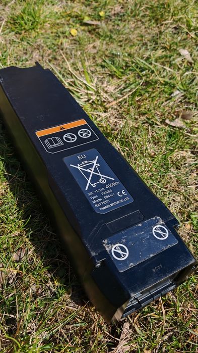 Rower cargo, Babboe Carve Montain