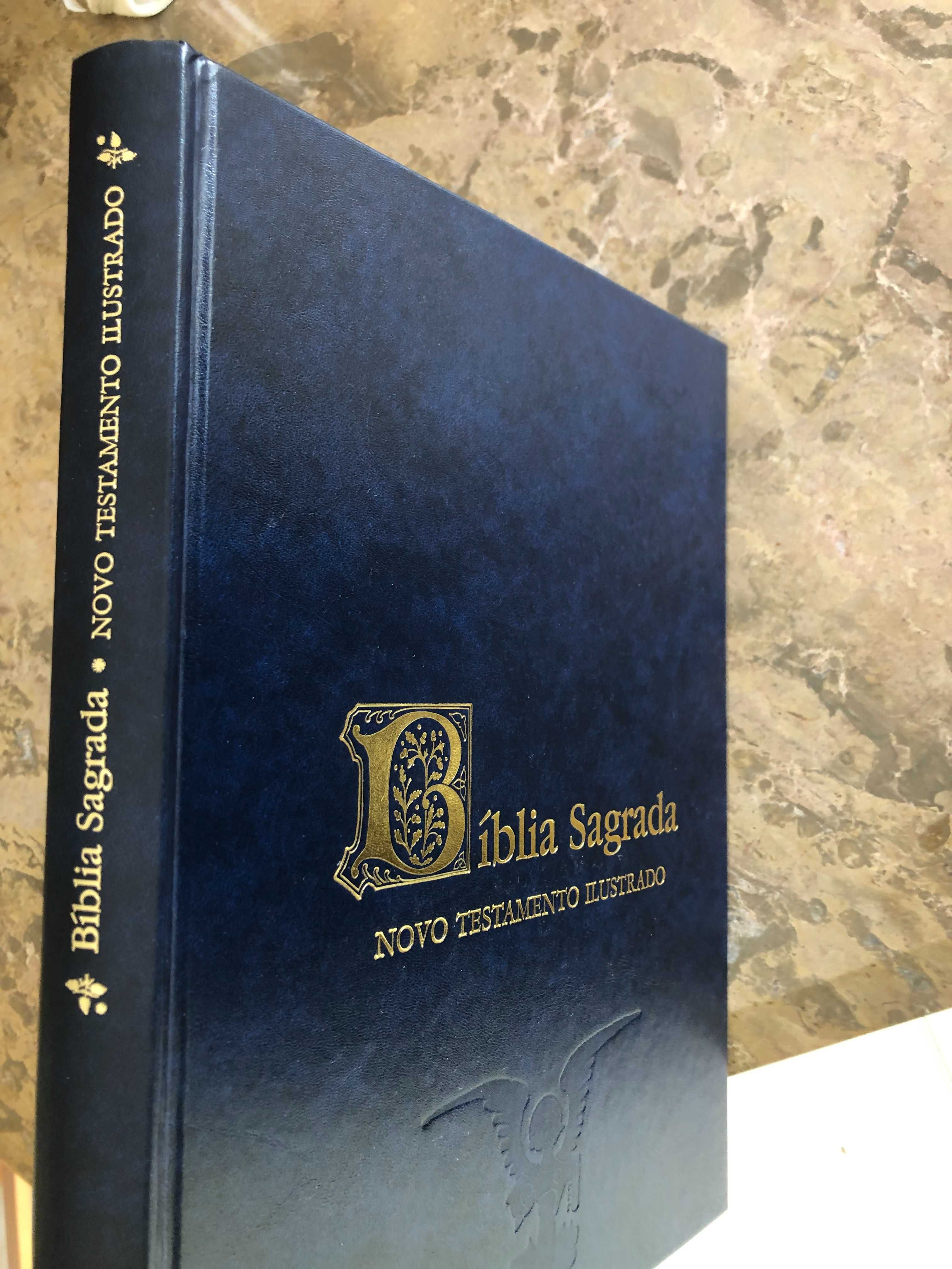 Bíblia Sagrada - Novo Testamento Ilustrado