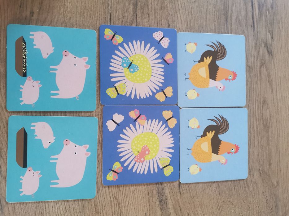 Gra Kapitan nauka Memory Farma 2+