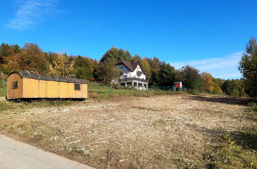 Czyszczenie karczowanie dzialek wycinka pod inwestycje Mulczer leśny