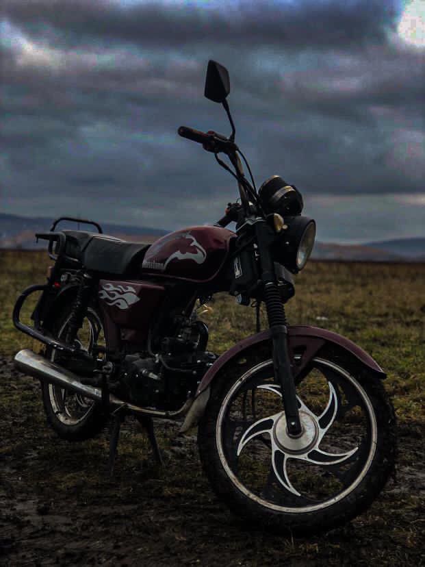 Альфа 125 на доках