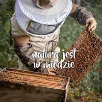 MAZURSKIE MIODY - HURT - wszystkie miody pszczele - wiadra i beczki