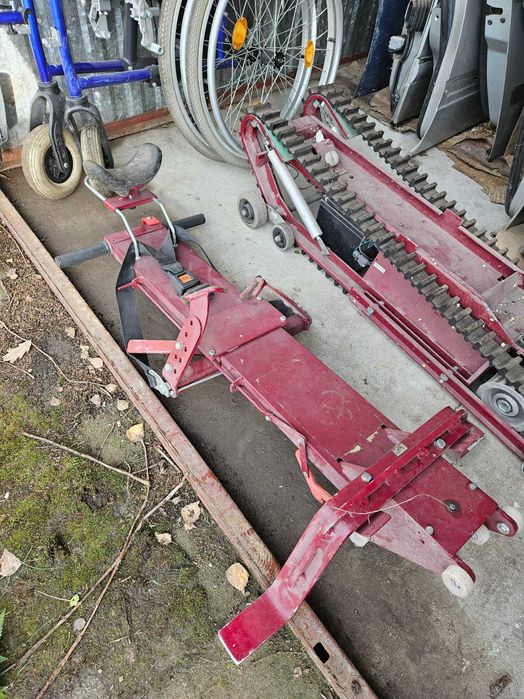 Schodołaz gąsienicowy