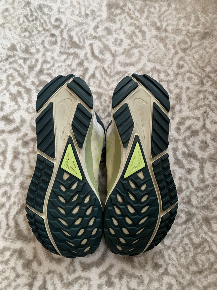 Оригінал! Nike Pegasus Trail 4 Gore-Tex