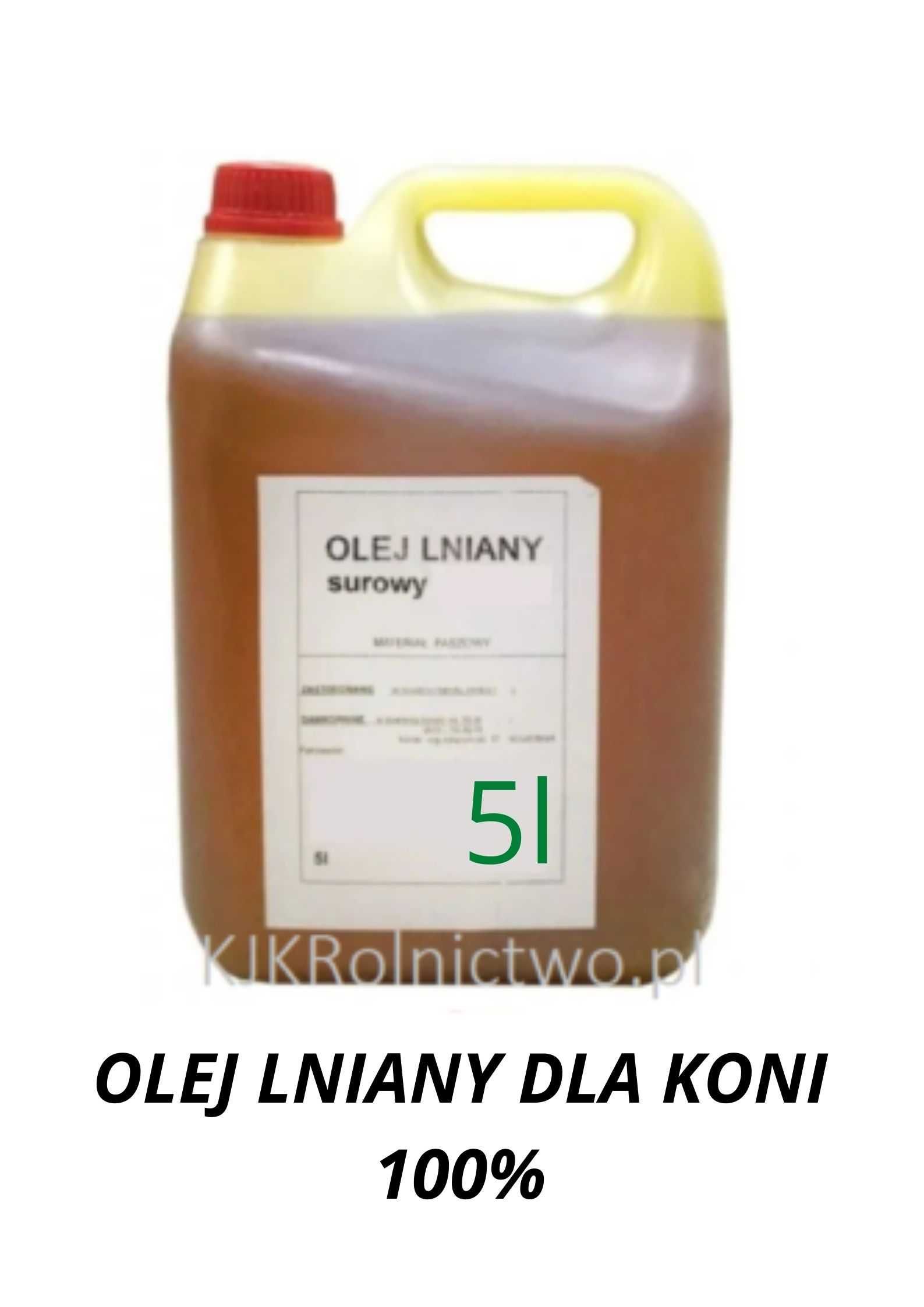 Olej Lniany surowy 5 l bez dodatków dla koni WYSYŁKA