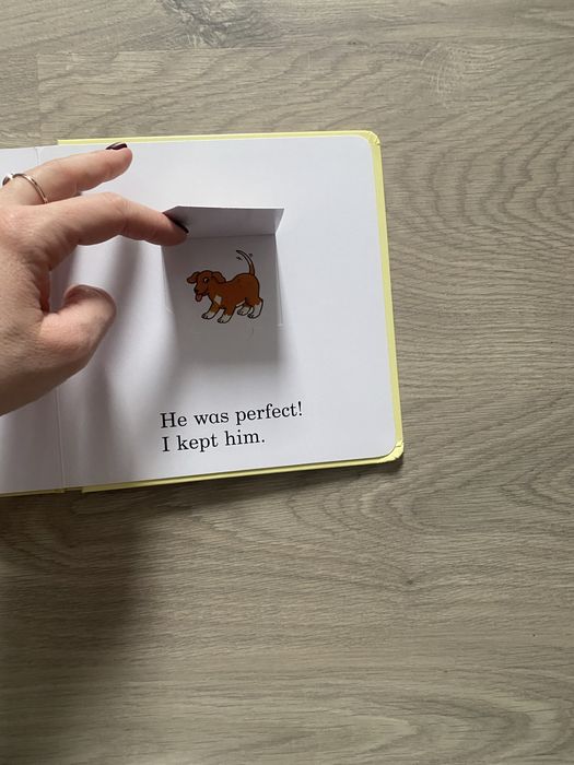 Книга зоопарк з віконцями на англ мові