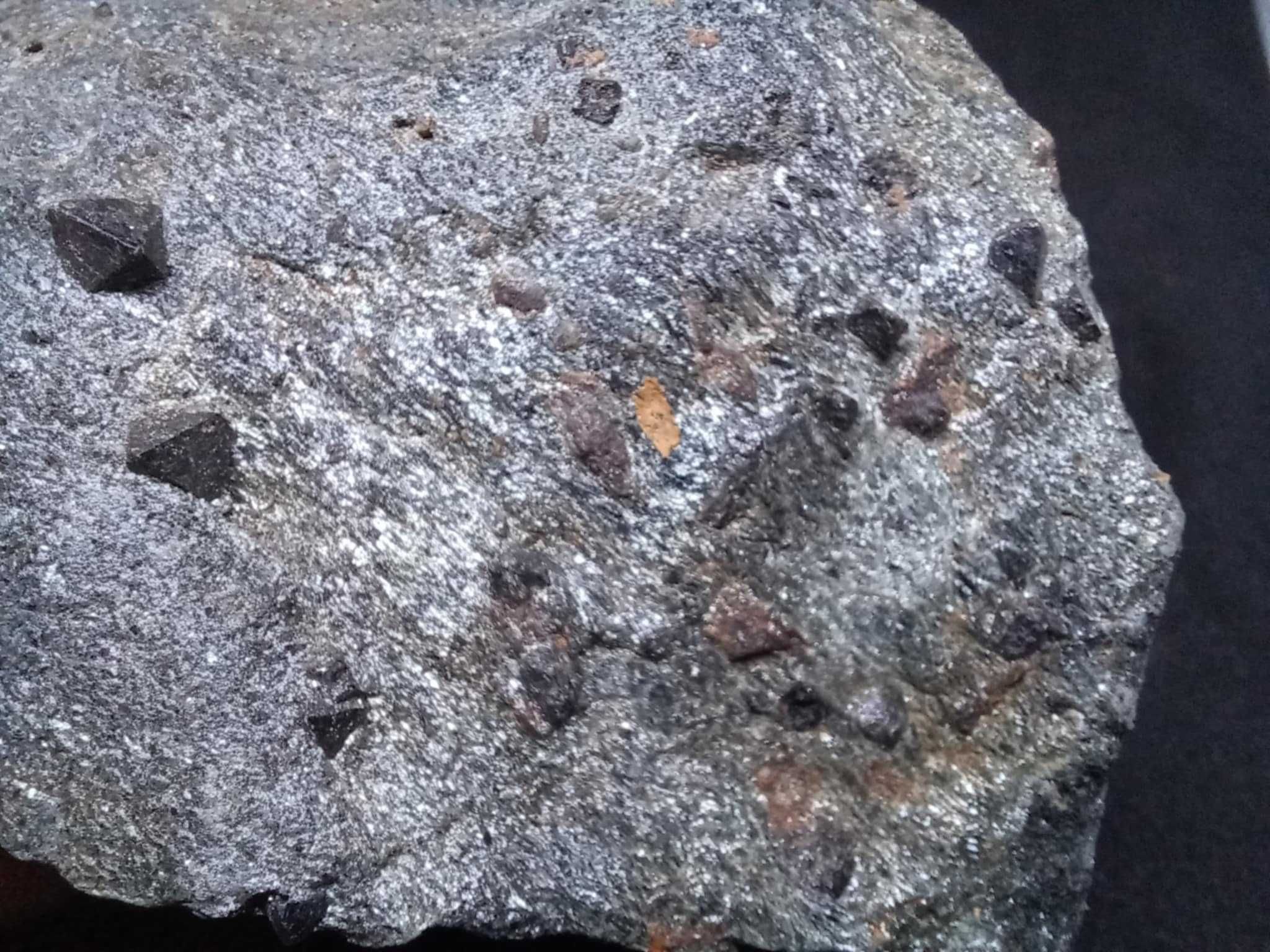 Magnetyt w amfibolicie. Ural. Rosja.