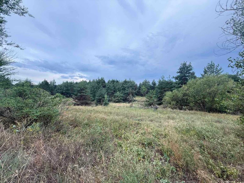 Продам дві ділянки у лісі з виходом до р.Орель, Царичанський район.