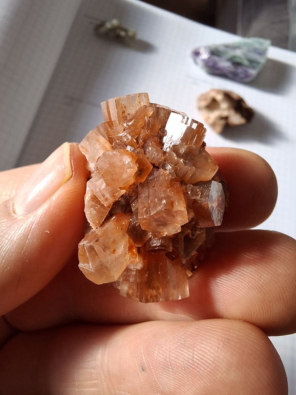 Minerały chalcedon winogron, aragonit, fluoryt, kalcyt
