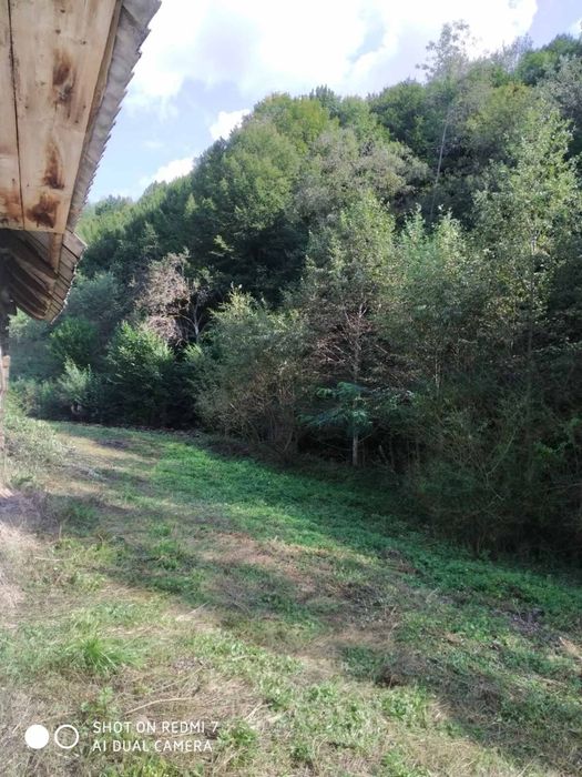 Продам будинок в Закарпатті