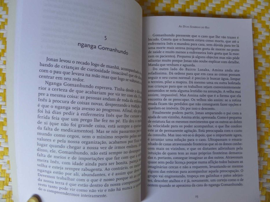 AS DUAS SOMBRAS DO RIO
de João Paulo Borges Coelho