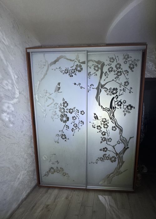 Шкаф-купе с матовыми стеклянными дверцами и красивым рисунком