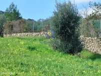 Terreno Calhandriz