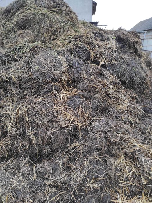 sprzedam obornik bydlecy