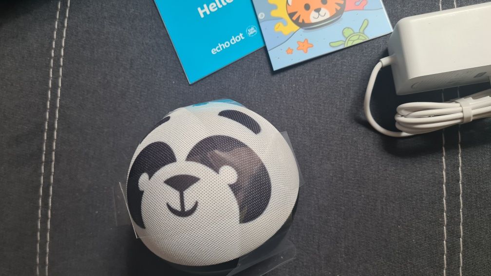 Alexa echo dot kids panda