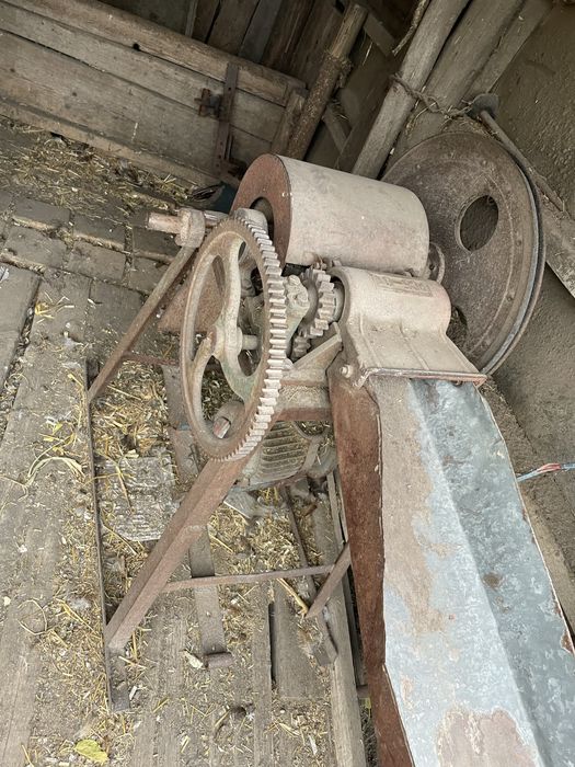 Соломо різка