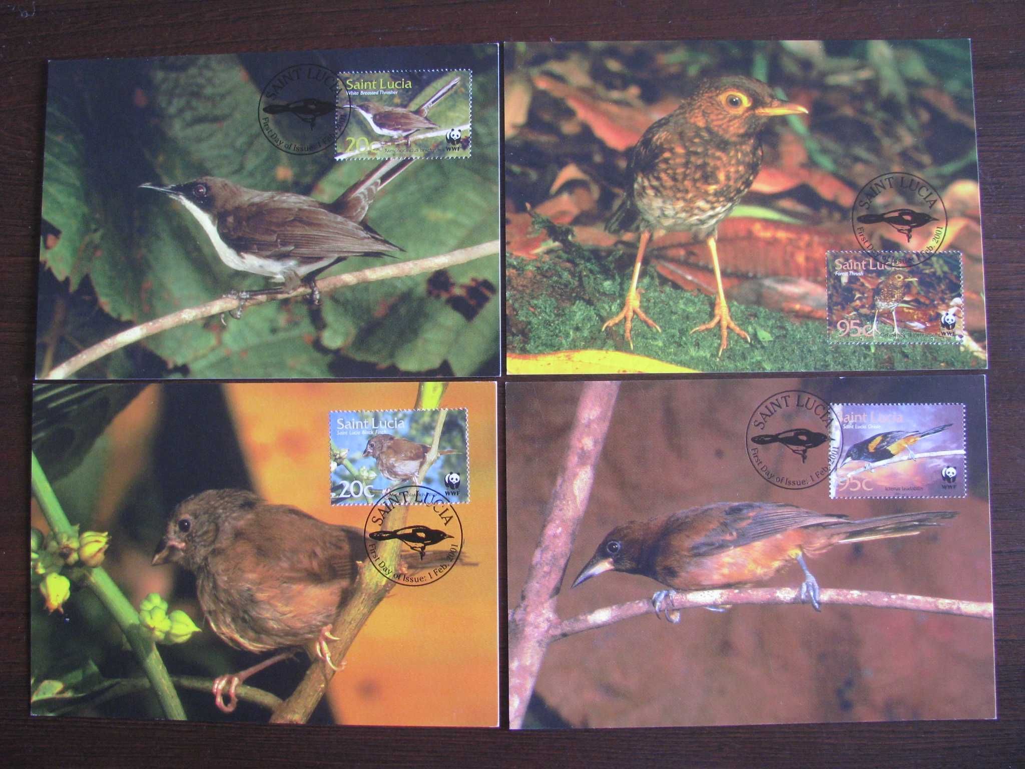 Saint Lucia -Maxim karty-Ptaki, Ziębołuszcz -WWF