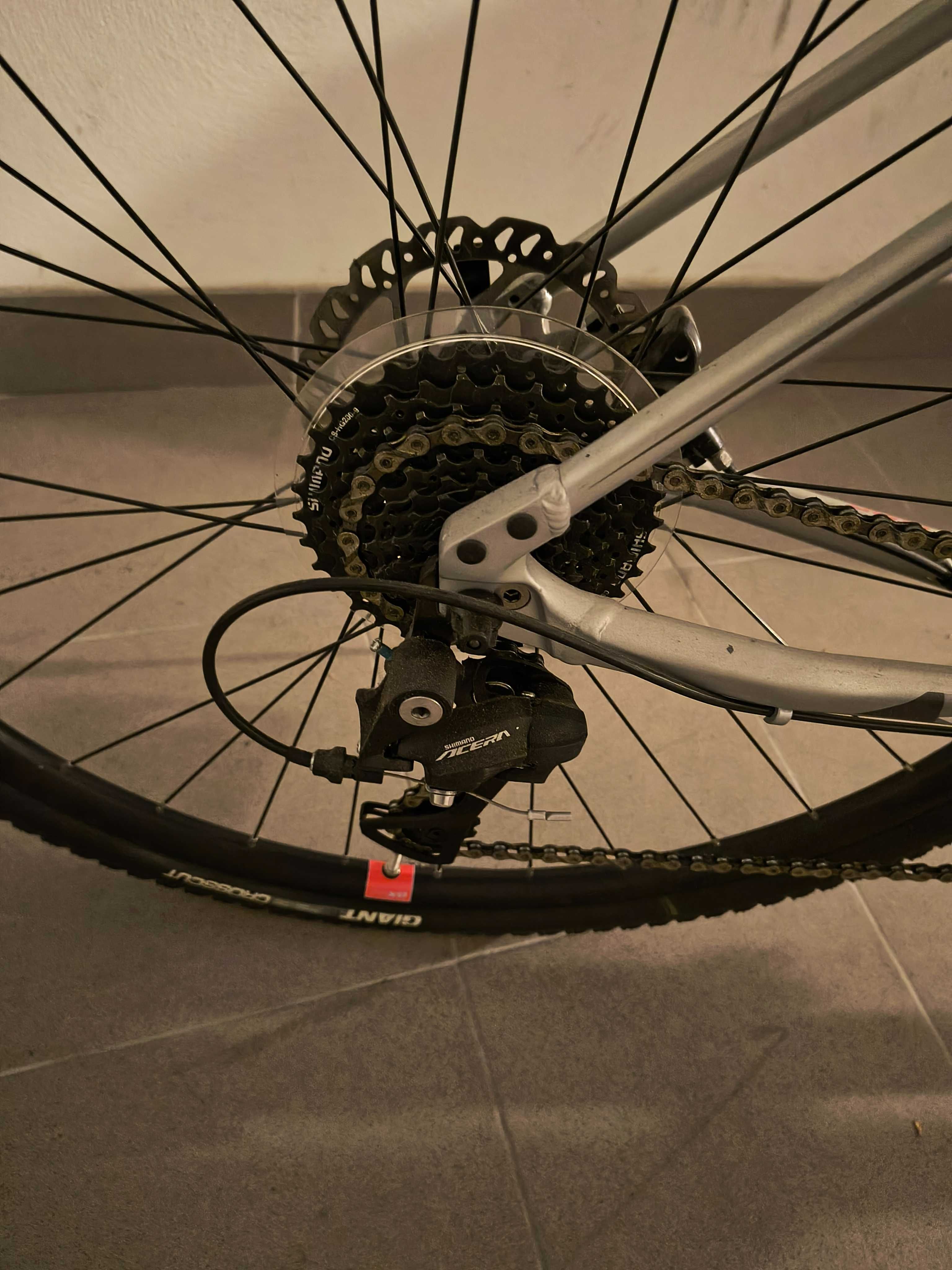 Rower Giant  Roam 2