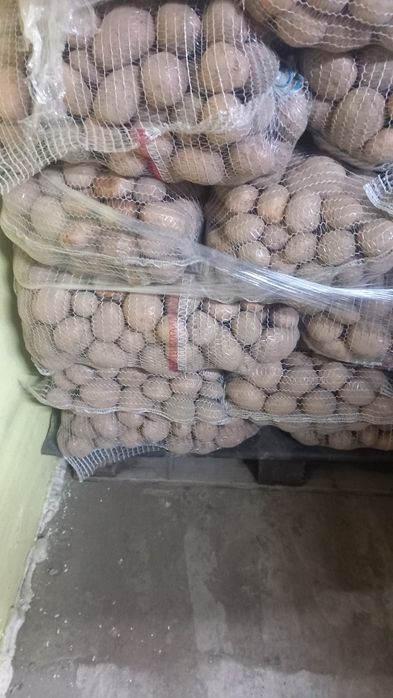 Sprzedam  ziemniaki Noya Irga