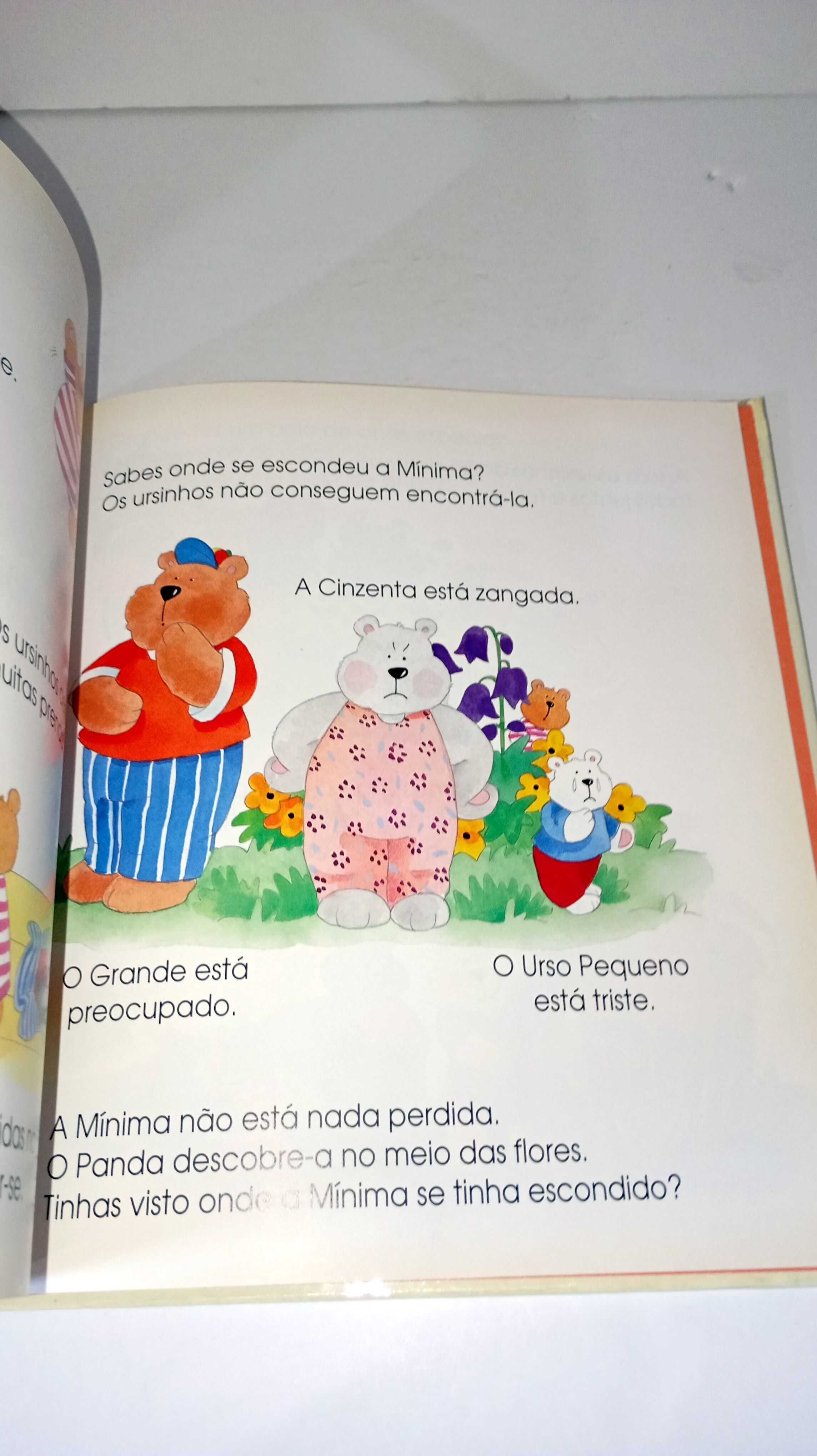 Grande livro dos Ursinhos