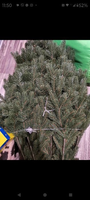 Ялинка 2 .10 нова