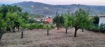 Terreno para venda