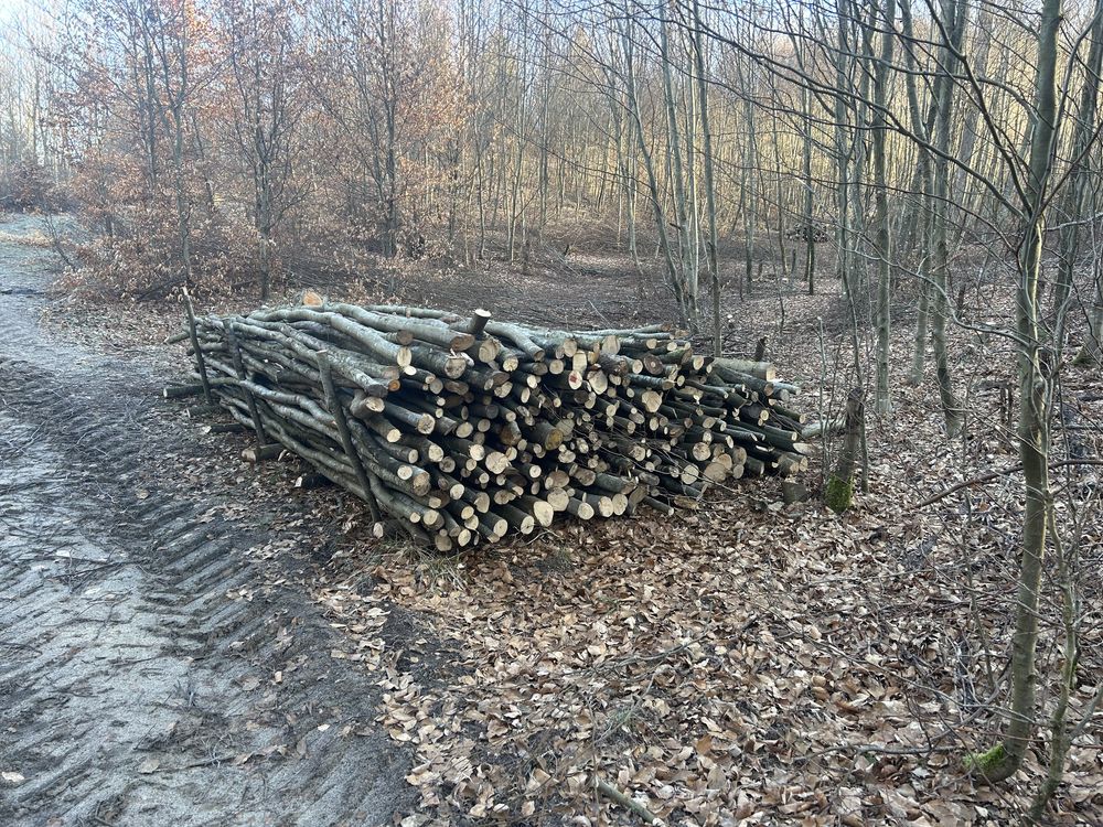 Drewno bukowe gałęziówka kominkowe