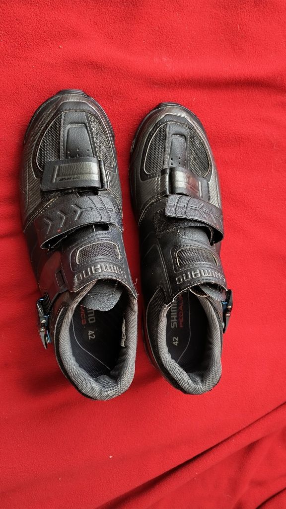 Buty rowerowe Shimano synamics torbal