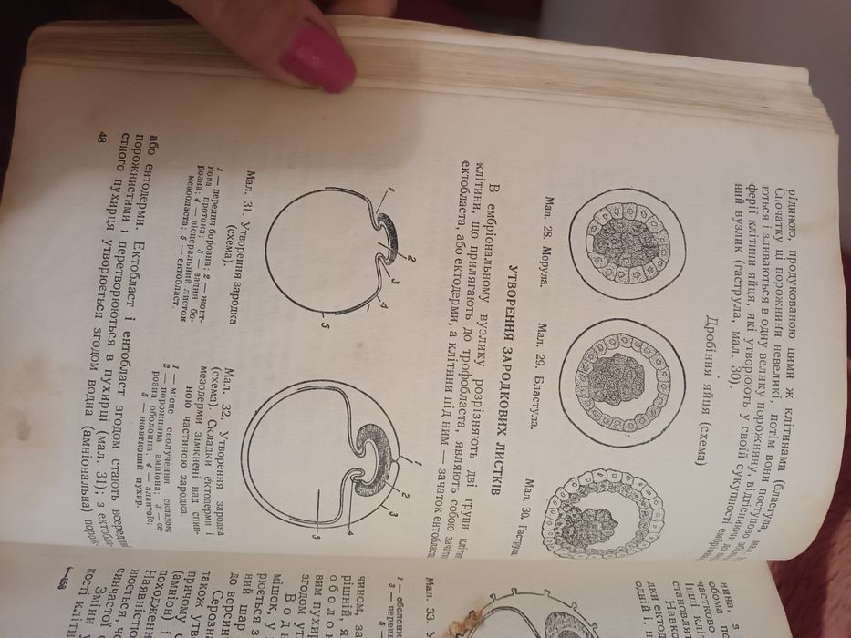 Книга медична 1951 р.